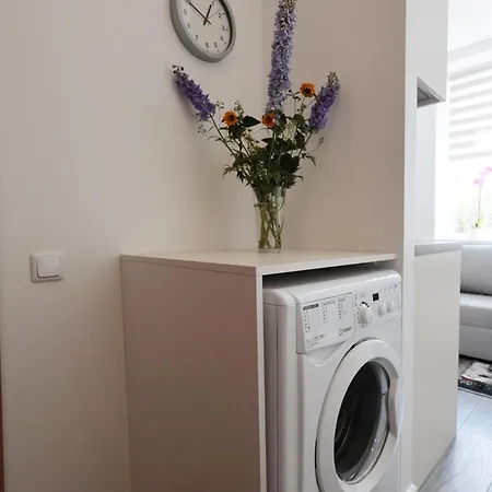Apartman Mini Dzivoklis-atbilstosa Cena